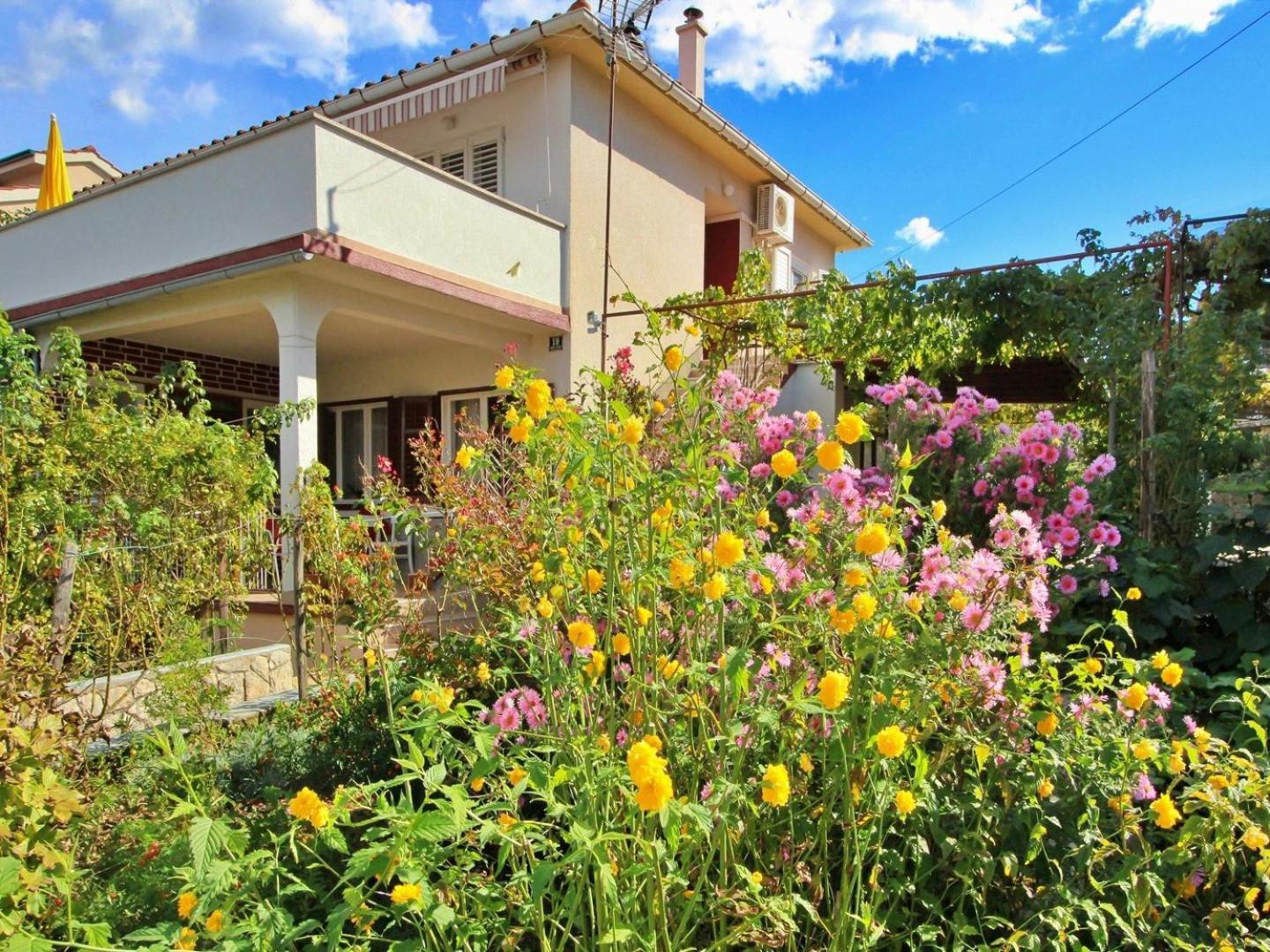 Konukevi Apartments Dragica 2*